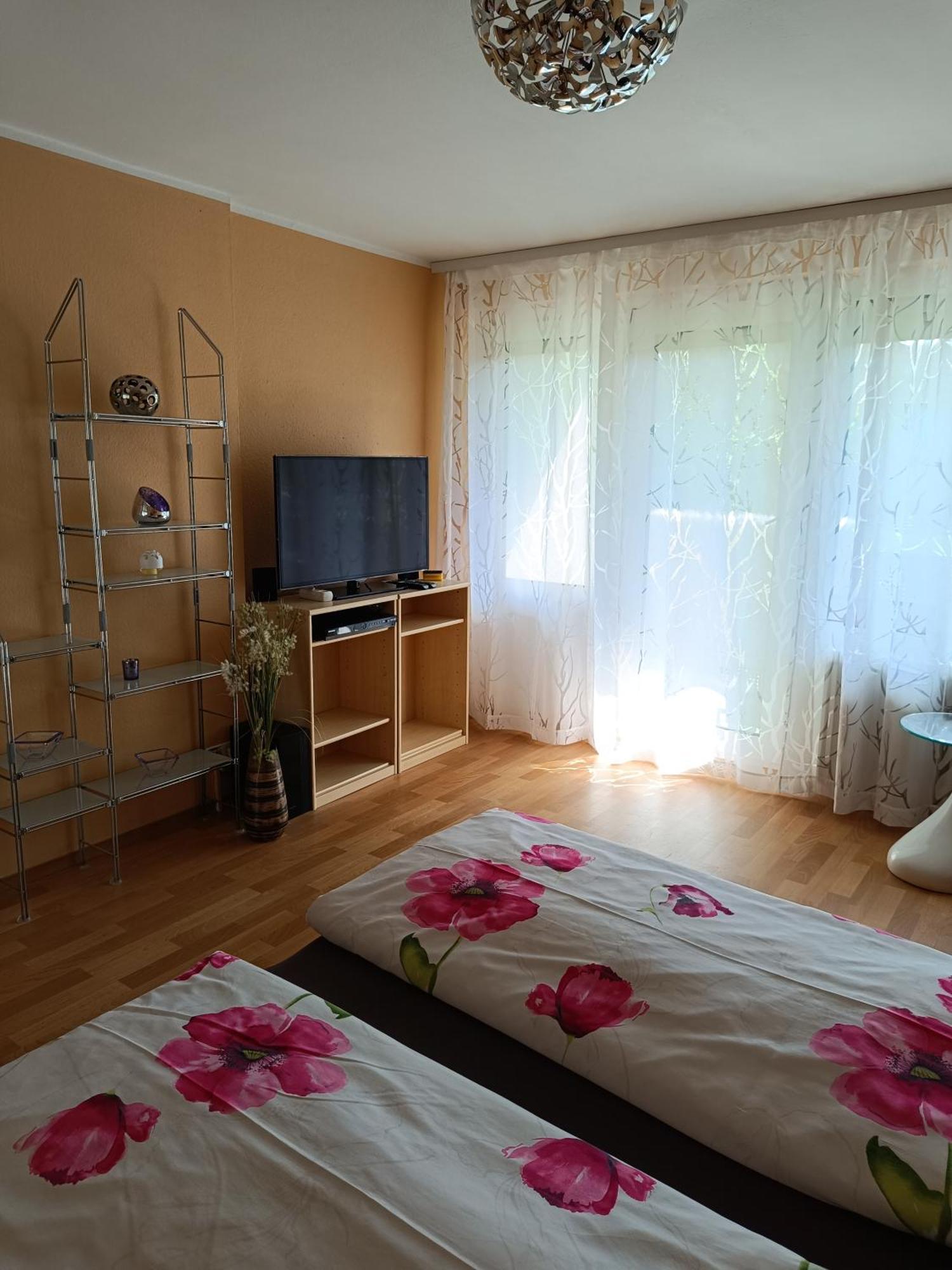 Offenburg Apartment Exterior foto